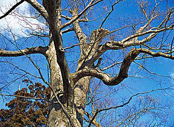 像素风2D平台清版射击动作游戏《铁血机甲: 反攻》现已推出试玩Demo