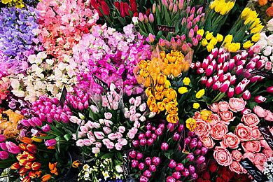 Konami：《合金装备》系列累计销量超5800万